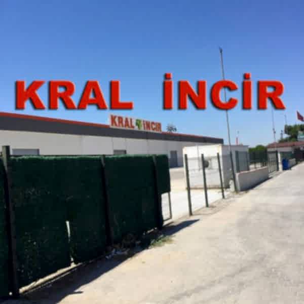 Beton silimi, epoksi kaplama